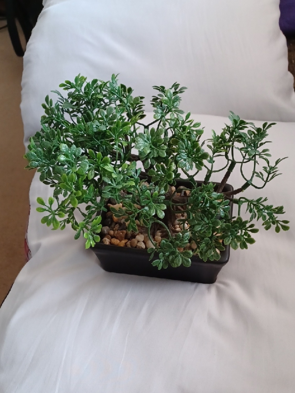 4/$80 Artificial Green Bonsai Accent Plant